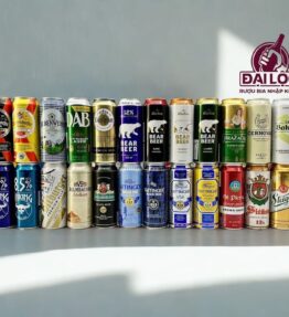 Hộp Quà 24 Loại Bia Nhập Khẩu Châu Âu – Hộp 24 Lon 500ml