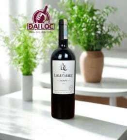 Rượu Vang Pháp BC de Bayle Carreau 13,5% 2020 Từ Bordeaux