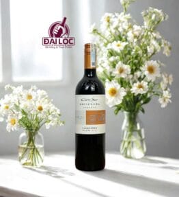 Rượu Vang Cono Sur Bicicleta Reserva Carmenere 13% 750ml