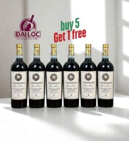 RƯỢU VANG Ý CARAVAGGIO MONTEPULCIANO D'ABRUZZO 2022 14%