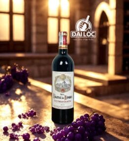 🍷 Rượu Vang Vieux Château des Combes Saint-Émilion Grand Cru 2019