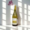 Cono-Sur-Bicicleta-Reserva-Chardonnay-1.jpg