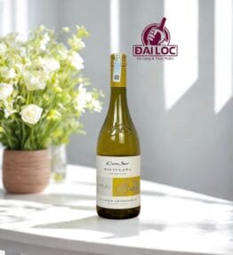 Rượu vang Chile Cono Sur Bicicleta Reserva Chardonnay 13%
