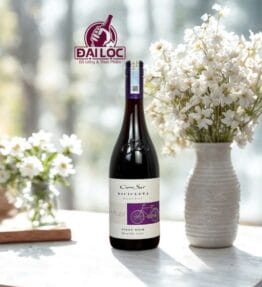 Rượu Vang Chile Cono Sur Bicicleta Reserva Pinot noir 13% 750ml