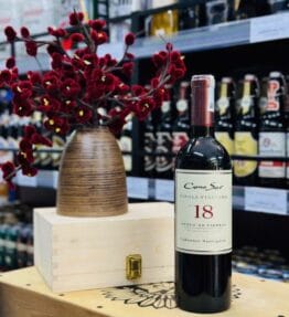 Vang Chile Cono Sur 18 Barrels Cabernet Sauvignon 2020 – Đẳng Cấp Thượng Hạng Của Chile