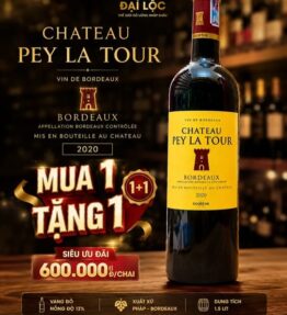 Vang Pháp Chateau Pey La Tour 2020 13%
