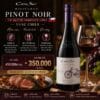 Rượu Vang Chile Cono Sur Bicicleta Reserva Pinot noir 13% 750ml