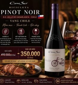 Rượu Vang Cono Sur Bicicleta Reserva Pinot noir 13% 750ml
