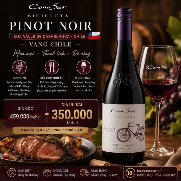 Rượu Vang Chile Cono Sur Bicicleta Reserva Pinot noir 13% 750ml