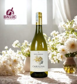 Rượu Vang Carolina Reserva Chardonnay 2022 13,5%