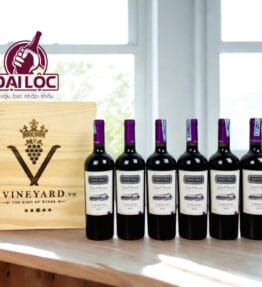 Vang Chile Santa Ema Terroir Selection 13.5% Carmenere 2017