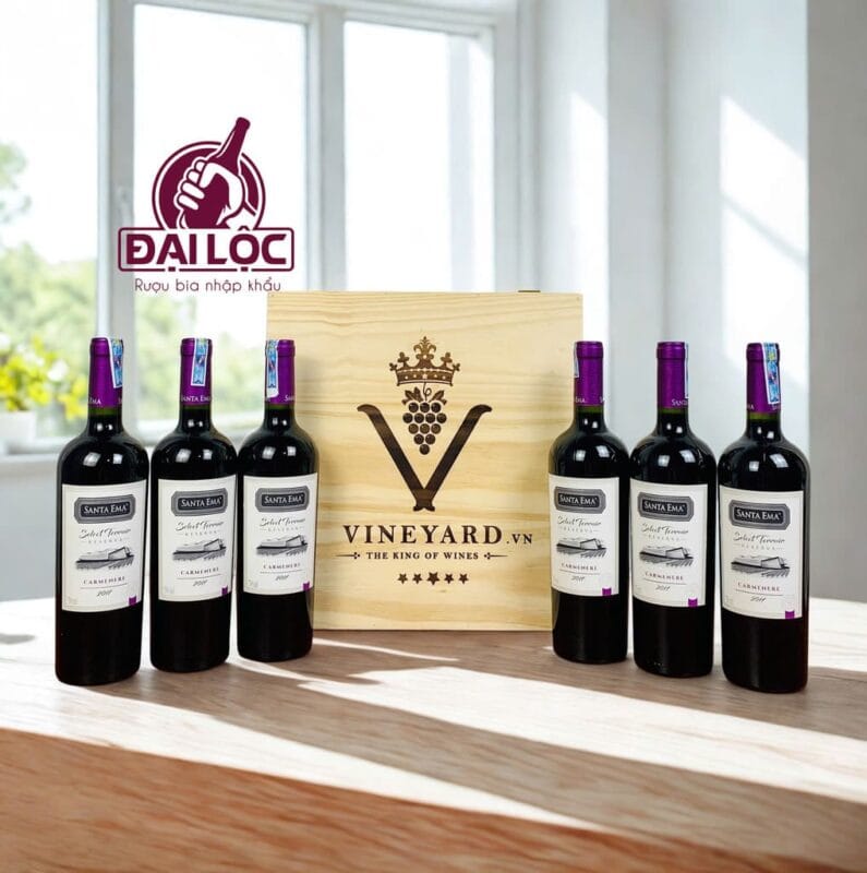 Gợi ý các mẫu set vang Chile hộp gỗ tặng đối tác B2B Set vang Chile hộp gỗ đôi sở hữu vẻ đẹp lịch thiệp và mang .ý nghĩa hợp tác