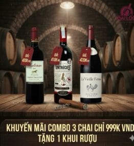 🇫🇷 COMBO VANG PHÁP TRUYỀN THỐNG (3 CHAI CHỈ 999K)