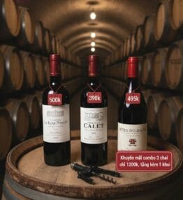 🇫🇷 COMBO Vang Pháp Cao Cấp : 3 Chai Chỉ 1200K