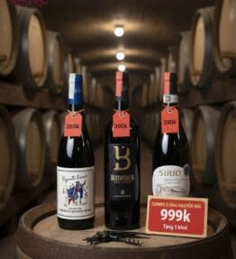🇮🇹 COMBO Vang Ý Chất Lượng: 3 Chai Chỉ 999K & Tặng Khui Rượu