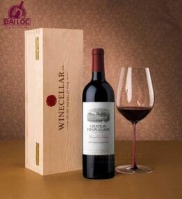 Rượu Vang Pháp Chateau Fonplegade, Saint-Emilion, Grand Cru Classe