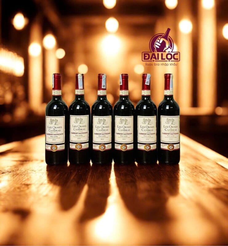 Top những chai vang Pháp Cabernet Sauvignon đáng sở hữu nhất 2026 Chai vang Pháp Cabernet Sauvignon này đang ở độ "chín" đẹp nhất về mặt hương vị ở năm 2026.