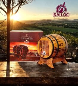 Vang Trống Santa Chilena 3 Lít 13%