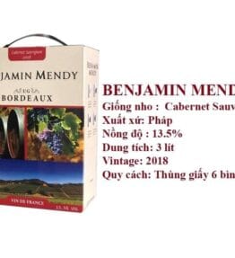 Vang Bịch Pháp Benjamin Mendy