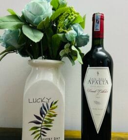 VANG CHILE SAN JOSE APALTA FRIENDS COLLECTION 2009