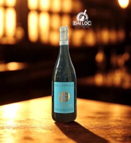 Rượu Vang Ý CF Collefrisio Morrecine 2022 14%: Tinh Hoa Vang Đỏ Vùng Abruzzo