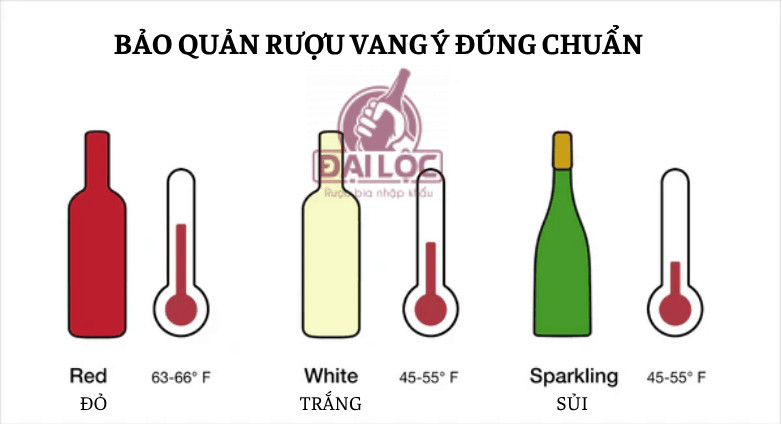 Cách bảo quản rượu vang Ý đúng chuẩn tại nhà