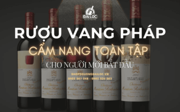 Xem ngay cẩm nang từ A-Z giúp giải mã nhãn chai, vùng trồng và địa chỉ mua rượu vang Pháp uy tín tại Shop Đại Lộc.
