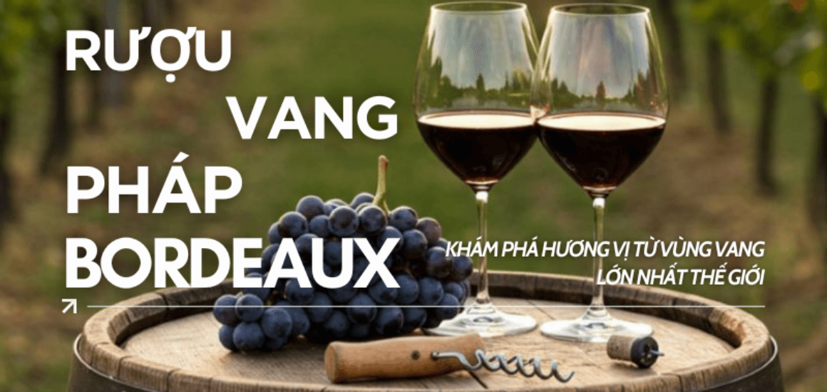 Khám phá thế giới rượu vang Pháp Bordeaux thượng hạng - Shop Đồ Uống Đại Lộc