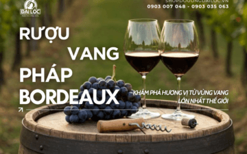 Khám phá thế giới rượu vang Pháp Bordeaux thượng hạng - Shop Đồ Uống Đại Lộc