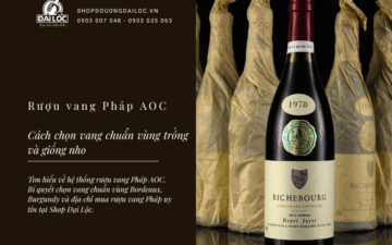 Bí quyết chọn vang chuẩn vùng Bordeaux, Burgundy và địa chỉ mua rượu vang Pháp uy tín tại Shop Đại Lộc.