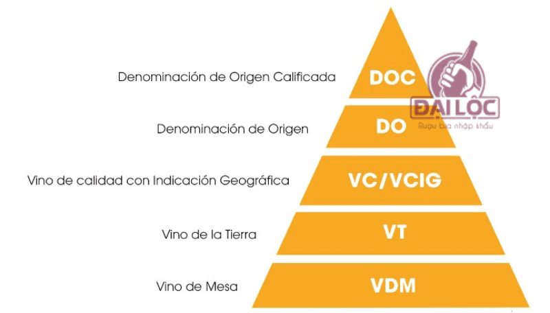 Shop Đồ Uống Đại Lộc sẽ giúp bạn giải mã hệ thống phân hạng rượu vang Ý chuẩn xác nhất 