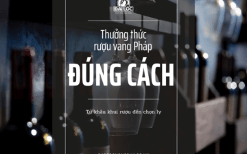 Hướng dẫn cách khui, chọn ly và quy trình 5S giúp bạn cảm nhận trọn vẹn vị ngon của rượu vang Pháp.