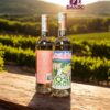 Rượu Vang Hồng Cote Mas Rose Aurore 2024 12,5%