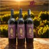 Rượu Vang Ý PavoNero Primitivo 13,5% (2024) - Chai 750ml