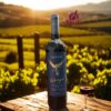 Rượu Vang Montes Wings 14,5% 2021 - Chai 750ml