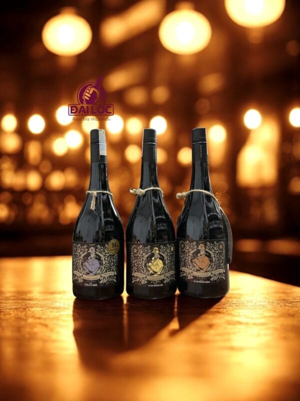 Rượu Vang Argentina Kaiken Aventura Malbec Canota 14,5% 2021 - Chai 750ml Mua Rượu Vang Kaiken Chính Ngạch tại Shop Đồ Uống Nhập Khẩu Đại Lộc 39 Hoa Cúc Phú Nhuận