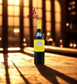 Rượu Vang Pháp Chapelle de Seize Saint-Émilion Grand Cru 14% 2020