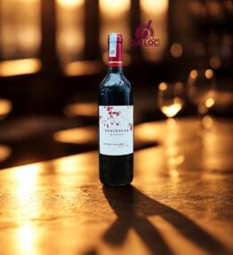 Rượu Vang Chile Ventisquero Peninsula 13% 2024