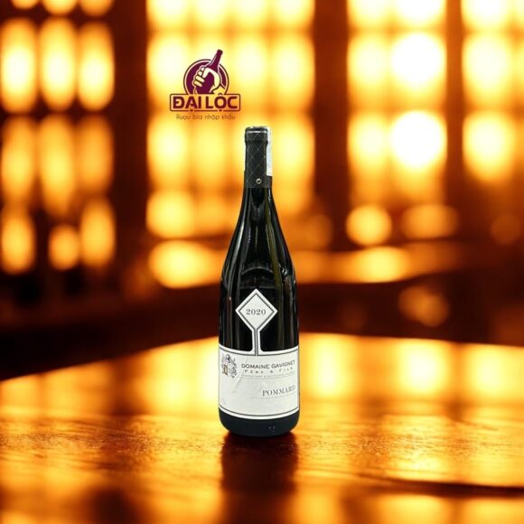 Rượu Vang Pháp Pommard Domaine Gavignet 13% 2020