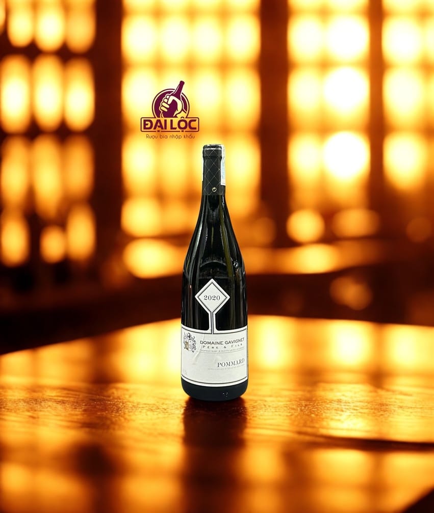Rượu Vang Pháp Pommard Domaine Gavignet 13% 2020