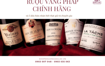 Cẩm nang nhận biết rượu vang pháp chính hãng từ chuyên gia. Shop Đại Lộc - địa chỉ bán rượu vang Pháp uy tín tại TPHCM, cam kết chính ngạch, giao hỏa tốc 2h.