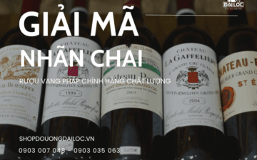 Hướng dẫn chi tiết cách đọc nhãn chai để mua đúng rượu vang pháp chính hãng chất lượng