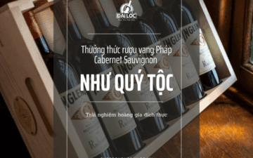 Hướng dẫn cách thưởng thức vang Pháp Cabernet Sauvignon theo phong cách quý tộc