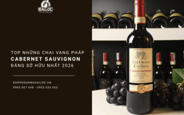 ruou-vang-phap-malesan-cabernet-sauvignon-chinh-hang
