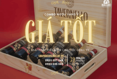 Gợi ý các combo rượu vang Ý giá tốt, hộp gỗ sang trọng chỉ từ 1.250.000đ tại Đại Lộc. Giải pháp tiết kiệm cho tiệc công ty, sự kiện, giao nhanh TPHCM.