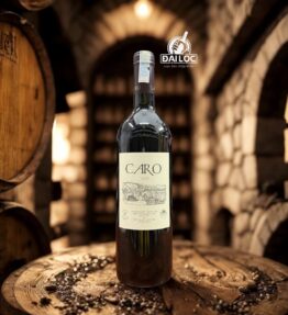 Rượu Vang Argentina Caro 2020 14,5% - Chai 750ml