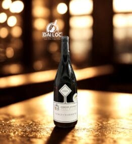 Rượu Vang Pháp Domaine Gavignet Gevrey-Chambertin 2020 13,5%