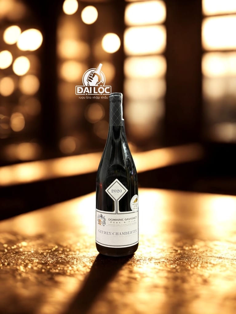 Rượu Vang Pháp Domaine Gavignet Gevrey-Chambertin 2020 13,5%