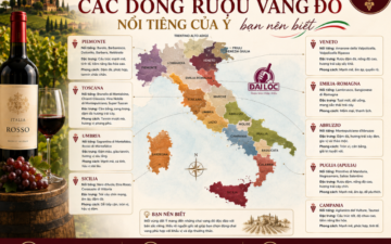 Khám phá bản đồ các dòng rượu vang đỏ nổi tiếng của Ý từ Bắc vào Nam: Barolo, Chianti, Primitivo. Mua rượu vang Ý chính hãng giá tốt tại Đại Lộc TPHCM.