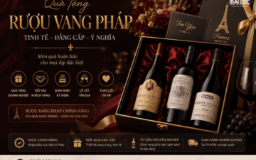 Shop Đồ Uống Đại Lộc phân phối rượu vang Pháp chính hãng, giao lạnh 2h tại TPHCM.